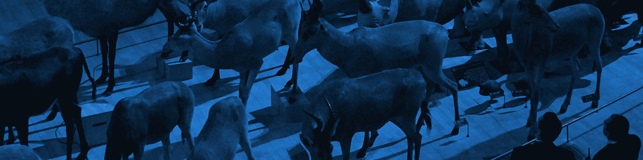 Arkalya - Formation Enjeu de l'éclairage d'exposition